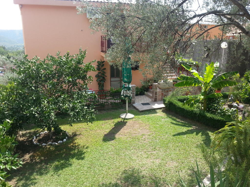 Apartments Kovacevic Petrovac Exterior photo